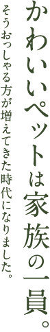 かわいいペットは家族の一員。そうおっしゃる方が増えてきた時代になりました。